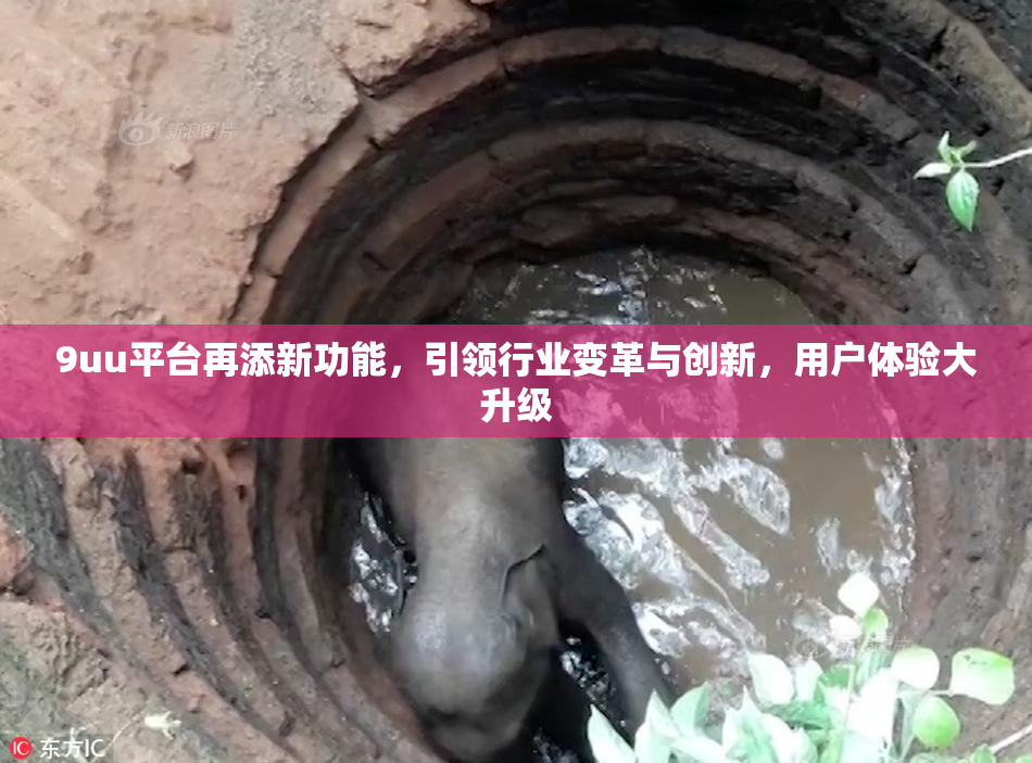 9uu平台再添新功能，引领行业变革与创新，用户体验大升级