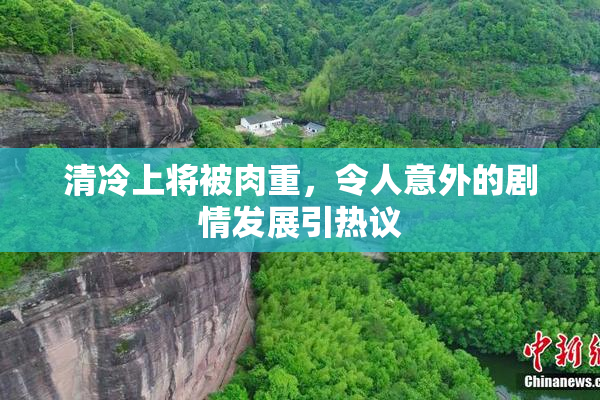 清冷上将被肉重，令人意外的剧情发展引热议