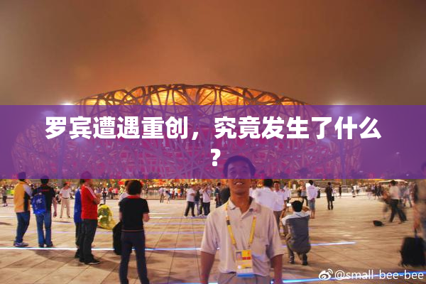 罗宾遭遇重创，究竟发生了什么？
