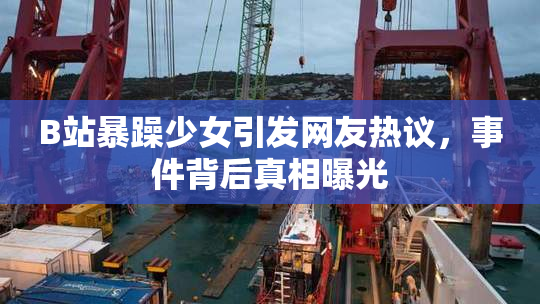 B站暴躁少女引发网友热议，事件背后真相曝光