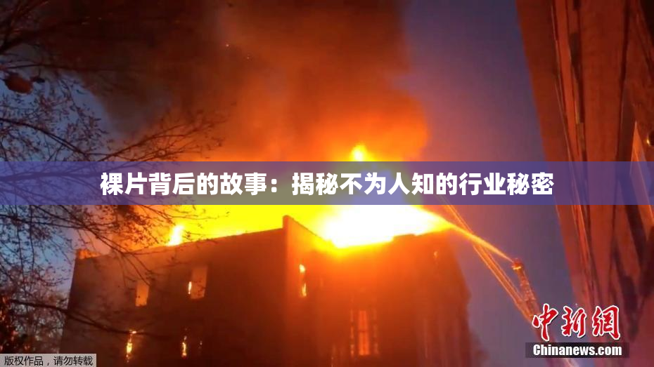 裸片背后的故事：揭秘不为人知的行业秘密