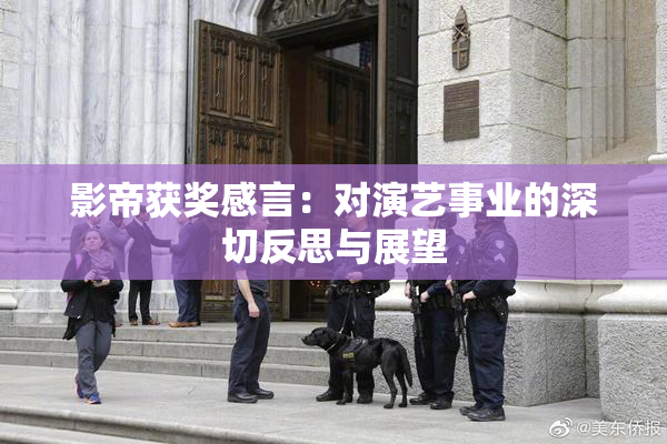 影帝获奖感言：对演艺事业的深切反思与展望