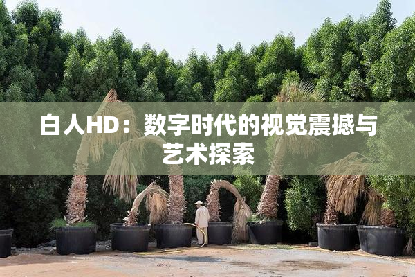 白人HD：数字时代的视觉震撼与艺术探索