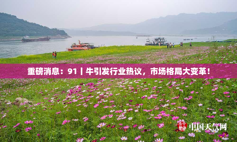 重磅消息：91丨牛引发行业热议，市场格局大变革！
