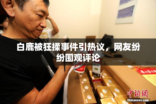 白鹿被狂揉事件引热议，网友纷纷围观评论