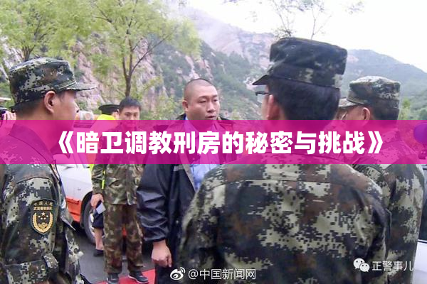 《暗卫调教刑房的秘密与挑战》