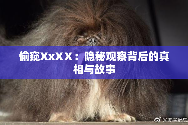 偷窥XxXⅩ：隐秘观察背后的真相与故事