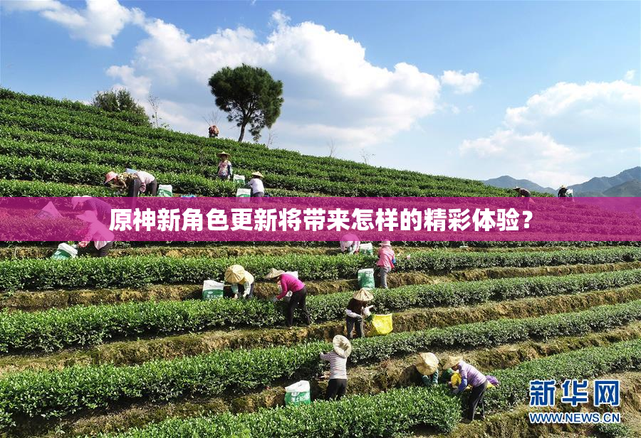 原神新角色更新将带来怎样的精彩体验？