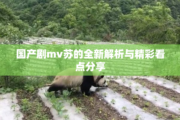 国产剧mv苏的全新解析与精彩看点分享