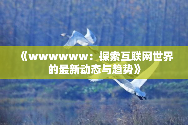 《wwwwww：探索互联网世界的最新动态与趋势》