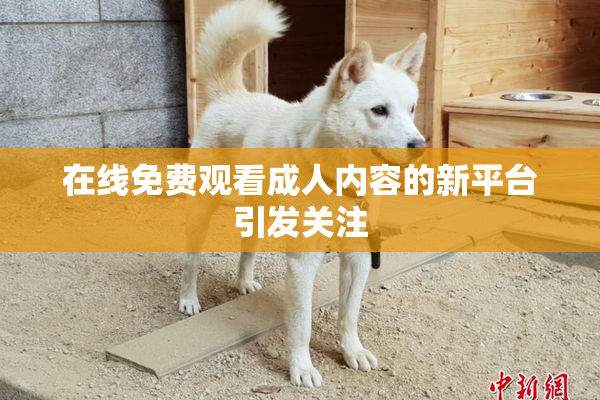 在线免费观看成人内容的新平台引发关注
