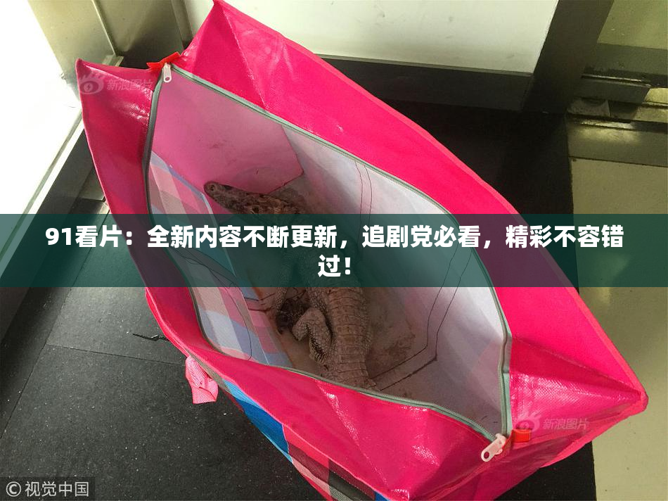 91看片：全新内容不断更新，追剧党必看，精彩不容错过！