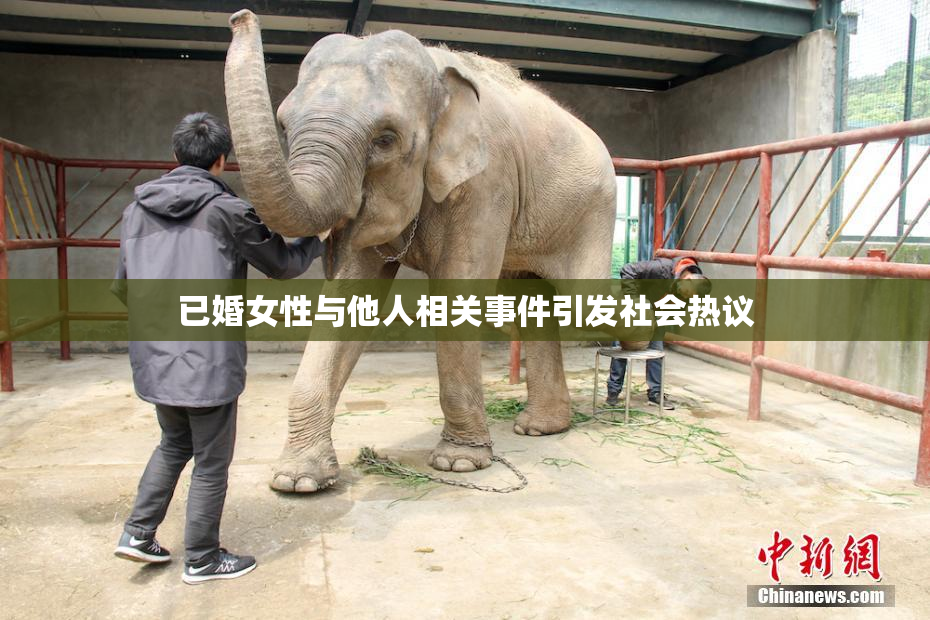 已婚女性与他人相关事件引发社会热议