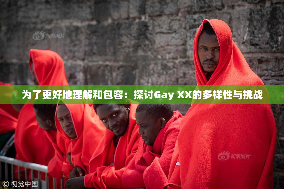 为了更好地理解和包容：探讨Gay XX的多样性与挑战