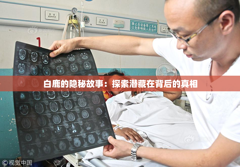白鹿的隐秘故事：探索潜藏在背后的真相