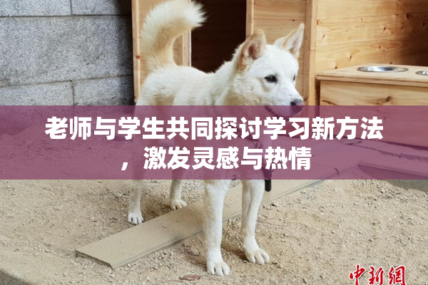 老师与学生共同探讨学习新方法，激发灵感与热情