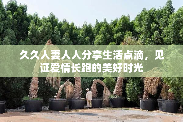 久久人妻人人分享生活点滴，见证爱情长跑的美好时光