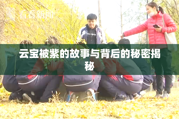 云宝被紫的故事与背后的秘密揭秘