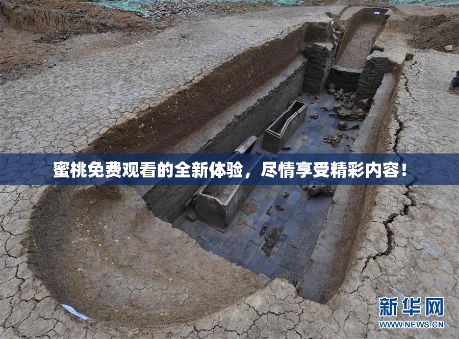 蜜桃免费观看的全新体验，尽情享受精彩内容！