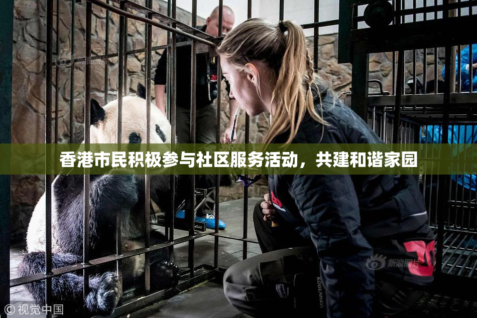 香港市民积极参与社区服务活动，共建和谐家园