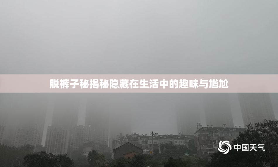 脱裤子秘揭秘隐藏在生活中的趣味与尴尬