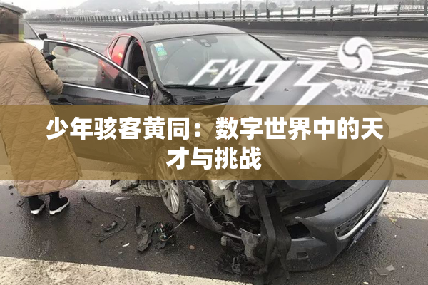少年骇客黄同：数字世界中的天才与挑战
