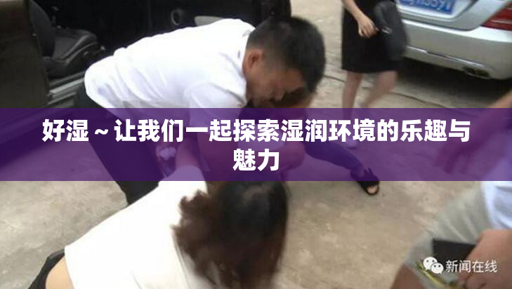 好湿～让我们一起探索湿润环境的乐趣与魅力