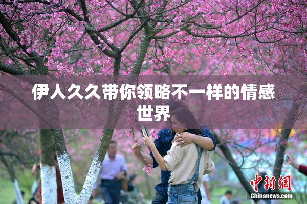 伊人久久带你领略不一样的情感世界