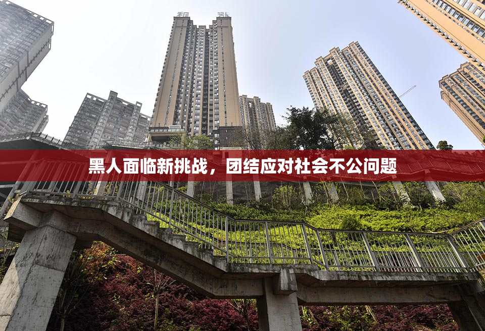 黑人面临新挑战，团结应对社会不公问题