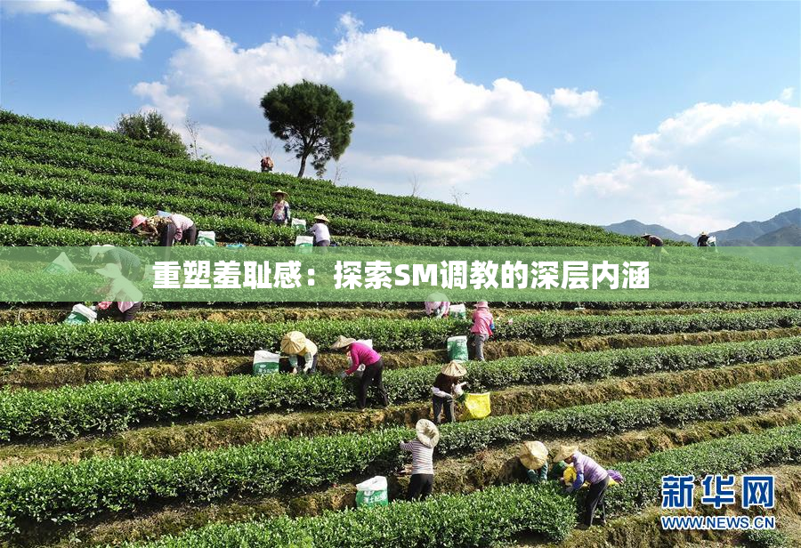 重塑羞耻感：探索SM调教的深层内涵