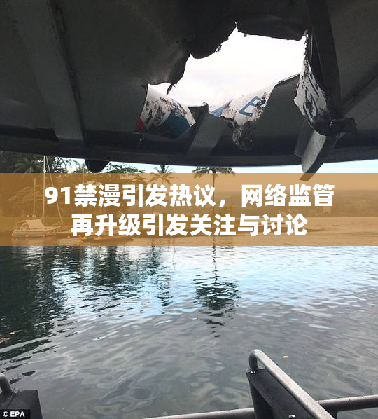 91禁漫引发热议，网络监管再升级引发关注与讨论