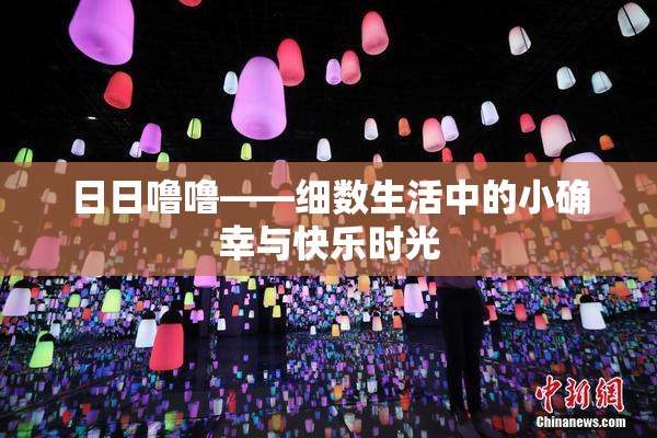 日日噜噜——细数生活中的小确幸与快乐时光