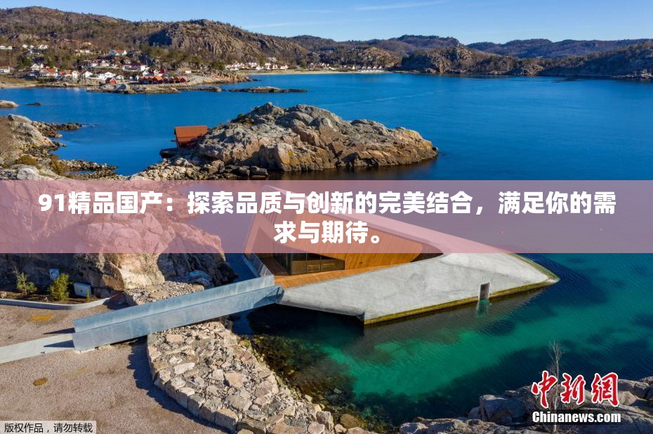 91精品国产：探索品质与创新的完美结合，满足你的需求与期待。