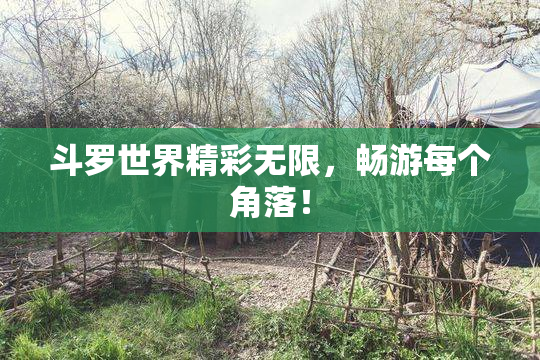 斗罗世界精彩无限，畅游每个角落！