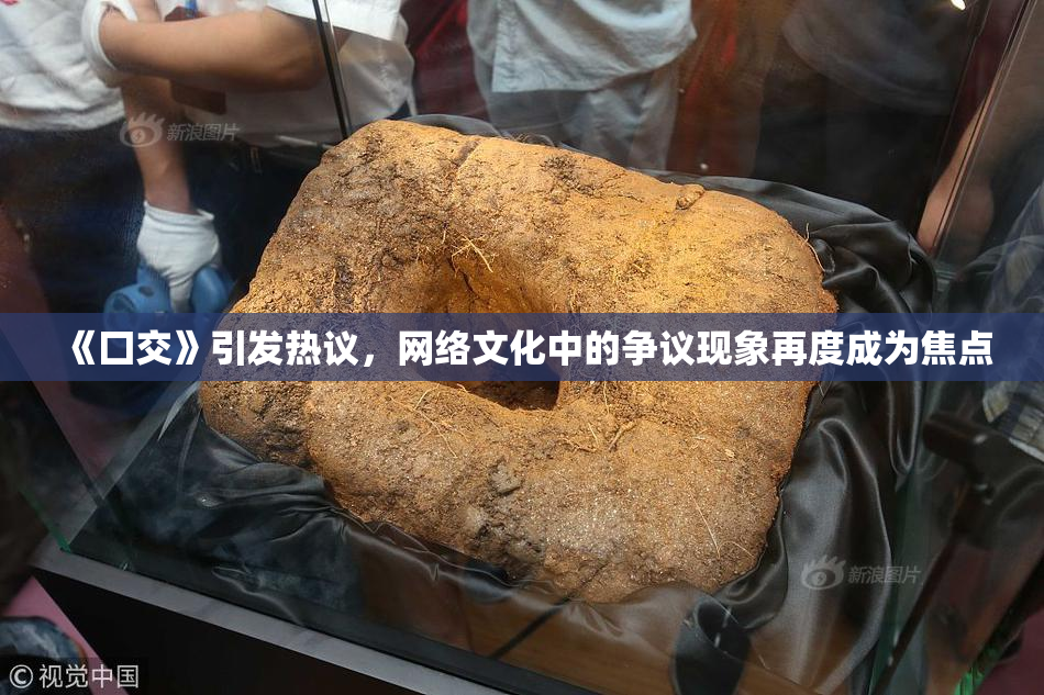 《囗交》引发热议，网络文化中的争议现象再度成为焦点