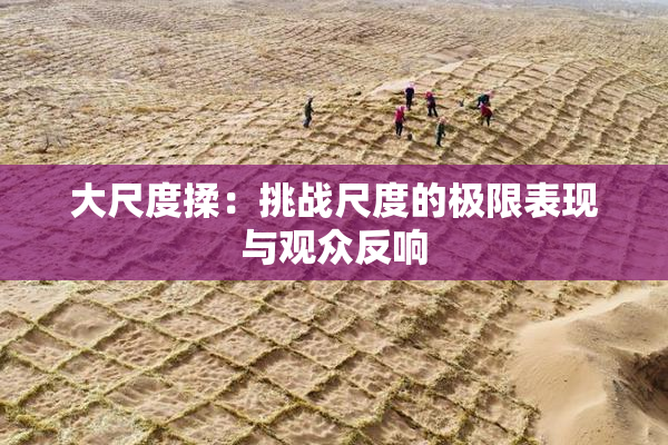 大尺度揉：挑战尺度的极限表现与观众反响