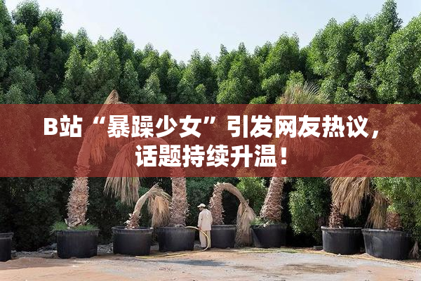 B站“暴躁少女”引发网友热议，话题持续升温！