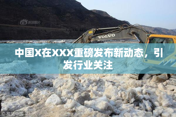 中国X在XXX重磅发布新动态，引发行业关注