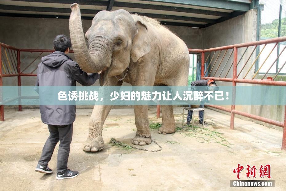 色诱挑战，少妇的魅力让人沉醉不已！