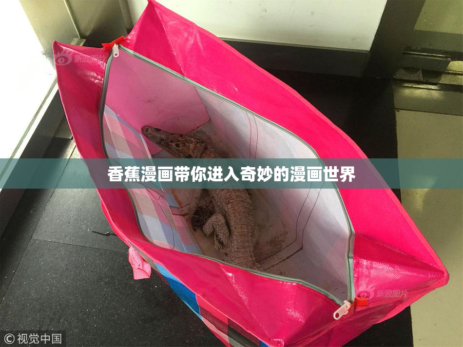 香蕉漫画带你进入奇妙的漫画世界