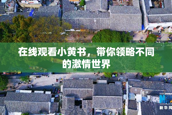 在线观看小黄书，带你领略不同的激情世界