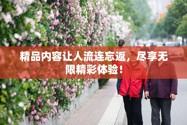 精品内容让人流连忘返，尽享无限精彩体验！