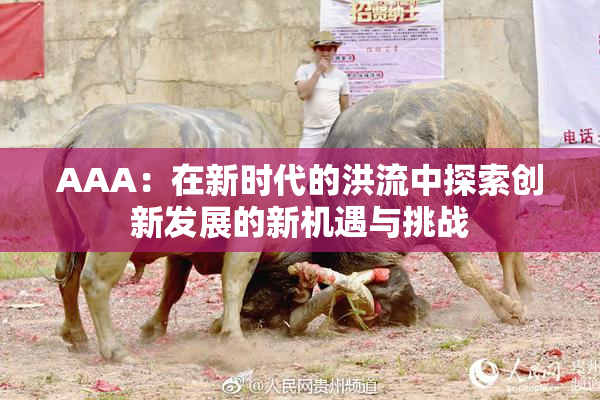 AAA：在新时代的洪流中探索创新发展的新机遇与挑战