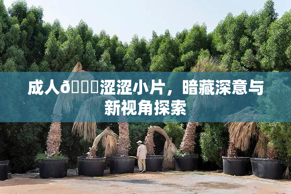 成人🔞涩涩小片，暗藏深意与新视角探索