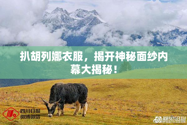 扒胡列娜衣服，揭开神秘面纱内幕大揭秘！