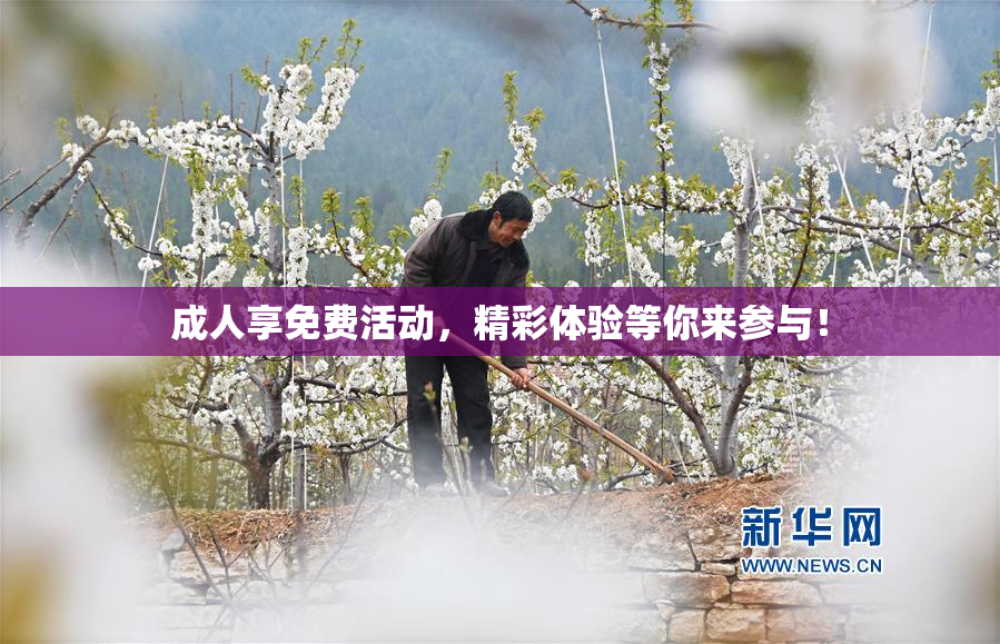 成人享免费活动，精彩体验等你来参与！