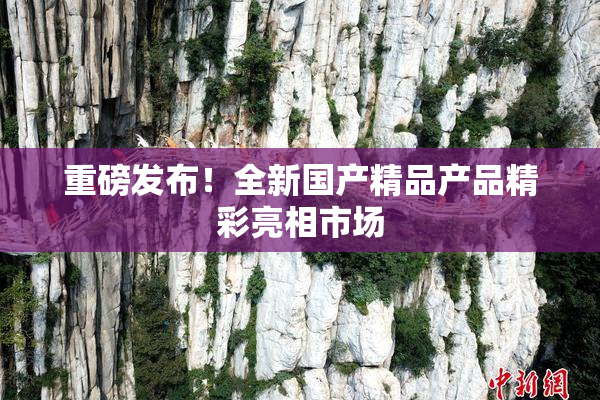重磅发布！全新国产精品产品精彩亮相市场