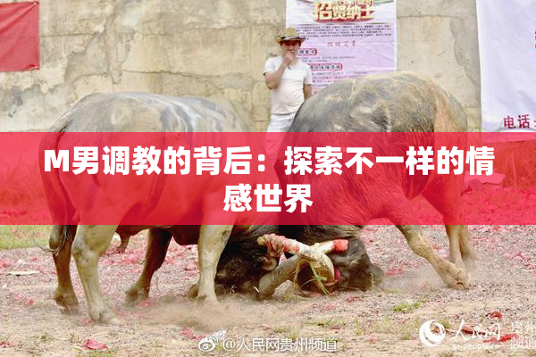M男调教的背后：探索不一样的情感世界
