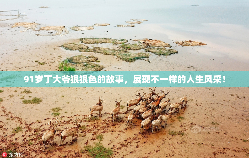 91岁丁大爷狠狠色的故事，展现不一样的人生风采！