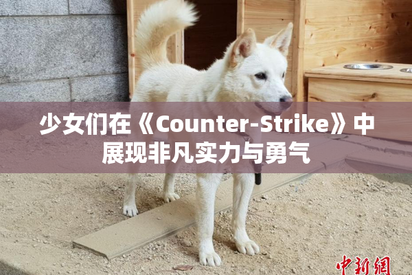 少女们在《Counter-Strike》中展现非凡实力与勇气
